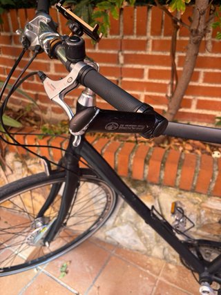 Bici ciudad 28 Nexus Shimano 8v