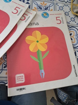 Lengua castellana 5 Primaria