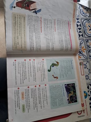 Lengua castellana 5 Primaria