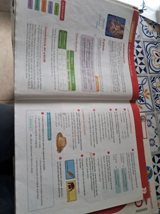 Lengua castellana 5 Primaria