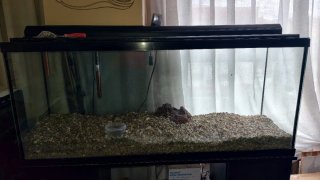 Acuario de gran tamaño agua fria 200 litros
