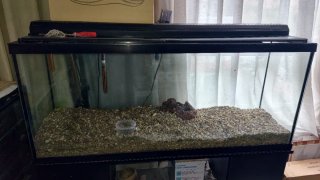 Acuario de gran tamaño agua fria 200 litros