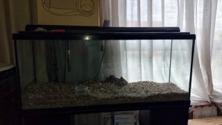 Acuario de gran tamaño agua fria 200 litros