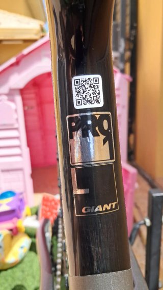Giant Athem Advanced Pro 29 1 2019