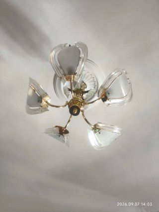 ‼️ Lámpara de techo 5 hojas/luces y 2 apliques