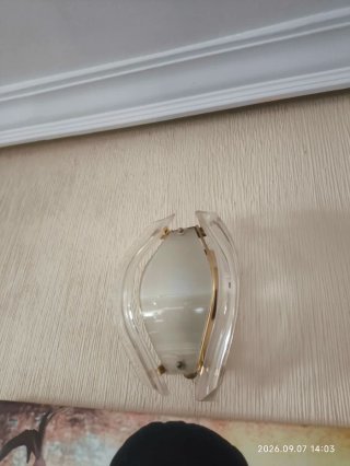 ‼️ Lámpara de techo 5 hojas/luces y 2 apliques