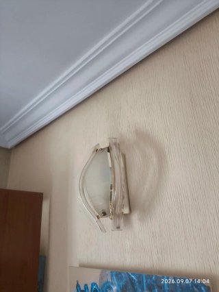 ‼️ Lámpara de techo 5 hojas/luces y 2 apliques