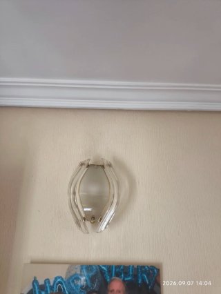 ‼️ Lámpara de techo 5 hojas/luces y 2 apliques