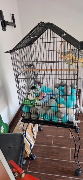 Jaula para pájaros (agapornis, loros)