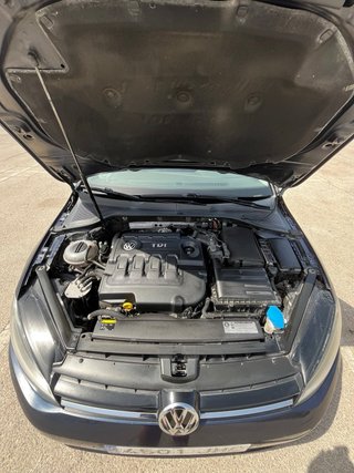 Volkswagen Golf VII Variant  1.6 TDI 110CV DSG