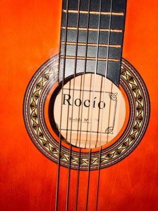Funda de guitarra Academy