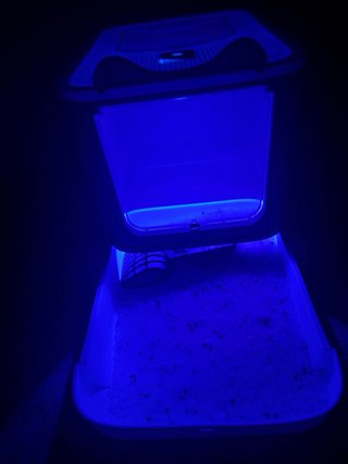 Arenero Gato UV Limpiador
