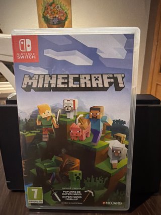 Minecraft Nintendo Switch