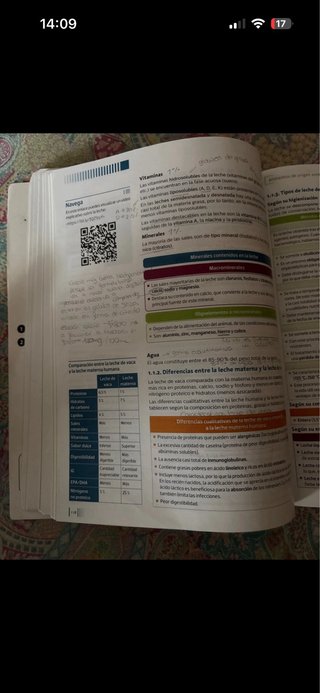 Alimentación equilibrada