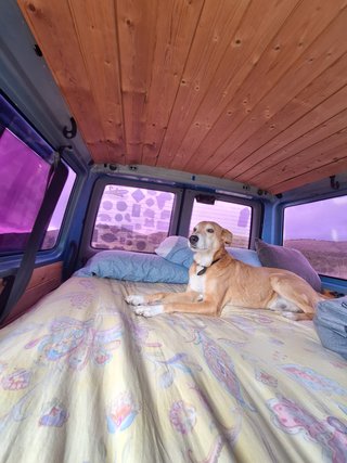 Camper Volkswagen Transporter 4 Caravelle 1992