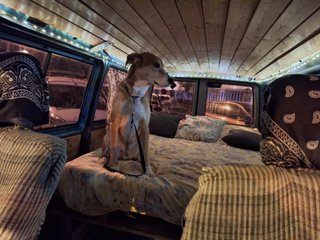 Camper Volkswagen Transporter 4 Caravelle 1992