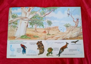 Álbum Cromotinas Los Animales y su Mundo 1987