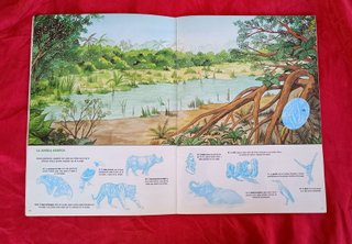 Álbum Cromotinas Los Animales y su Mundo 1987