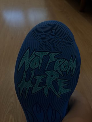 Tenis Baloncesto Profesional Azul/Verde