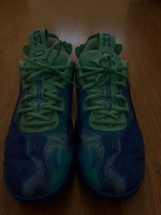Tenis Baloncesto Profesional Azul/Verde
