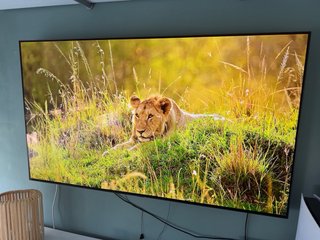 LG OLED 55 TV