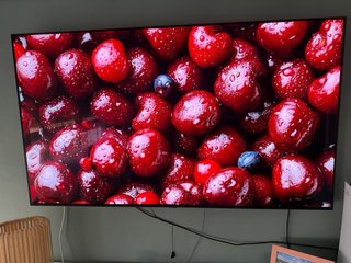 LG OLED 55 TV