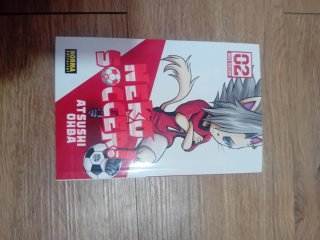Manga neko soccer