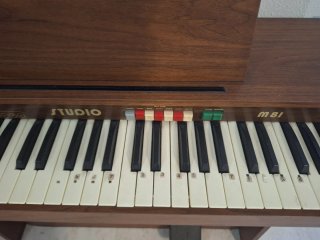Teclado Studio M81
