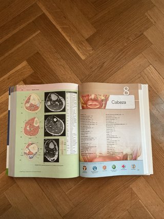 Moore. Fundamentos de Anatomía con Orientación