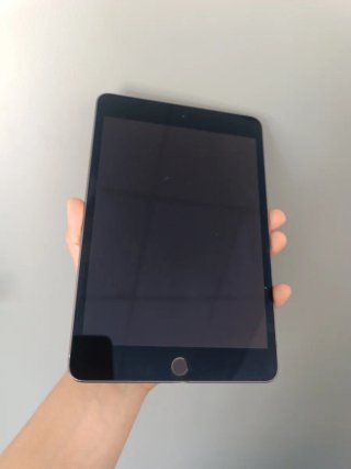 iPad Mini 5ª Gen Space Gray