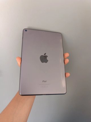 iPad Mini 5ª Gen Space Gray