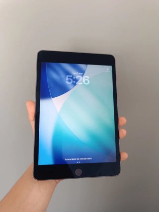 iPad Mini 5ª Gen Space Gray