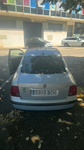 Volkswagen Passat 2000