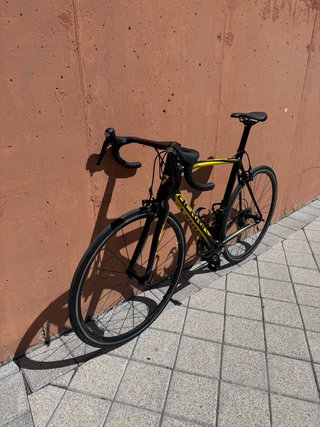 Berria Falcon 2.2 Carbono