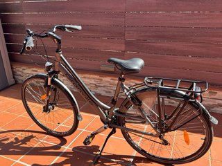 Bicicleta Granville Gris