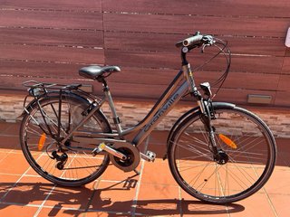 Bicicleta Granville Gris