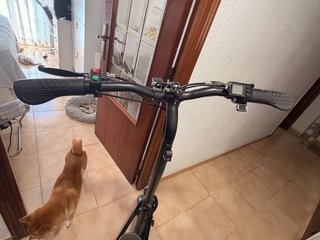 Patín eléctrico DOC