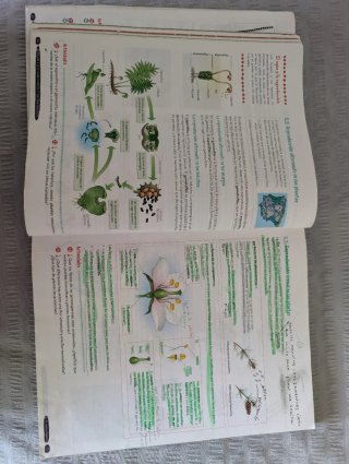 Biología y Geología 1º ESO. Libro del estudiante