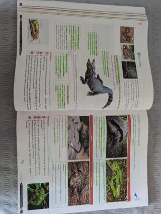 Biología y Geología 1º ESO. Libro del estudiante