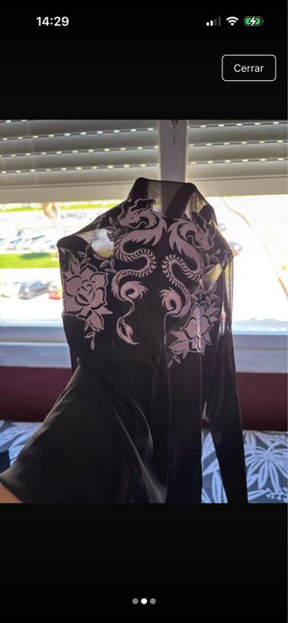 Camiseta manga larga transparente