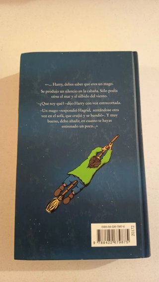 Lote Harry Potter