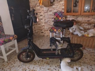 Patinete Eléctrico Negro