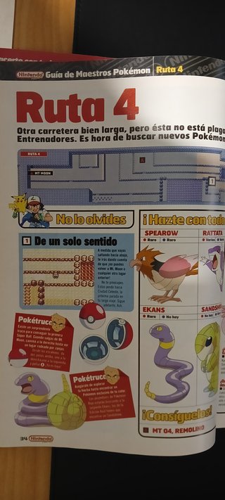 Guía Maestra Pokémon Nintendo Acción