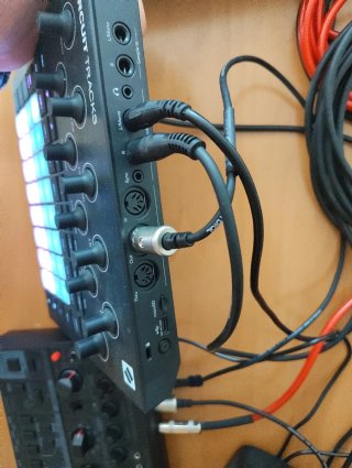 Circuit TRAKS Grovebox