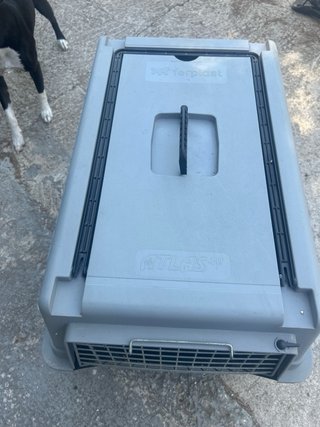 Transportín perro sin ruedas