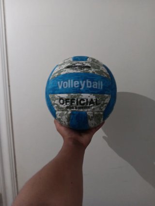 Balón de voleibol oficial