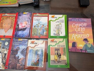 Libros el barco de vapor : 12 años