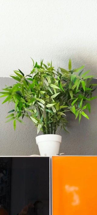 Planta artificial verde y blanca.