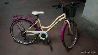 Bicicleta beige y rosa con cesta