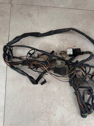 Cableado Rieju RS2 50cc